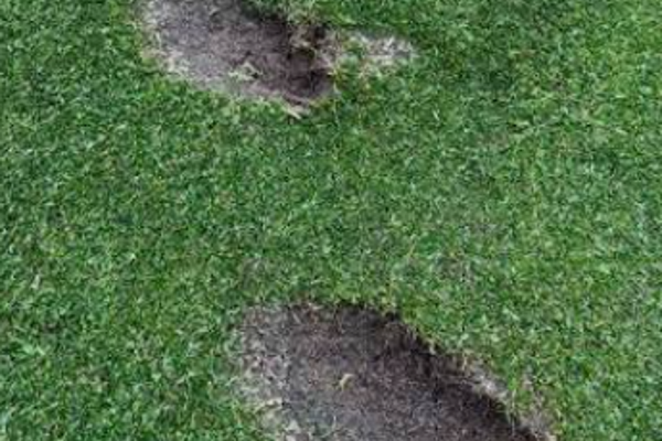 Hjälp oss att vara rädd om golfbanan